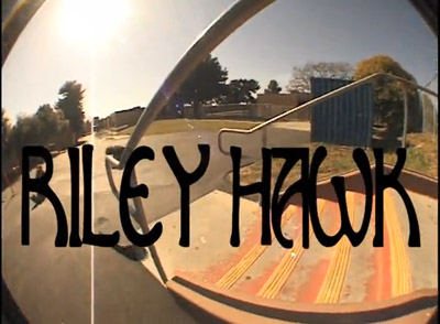 RileyShepdawgsVol2