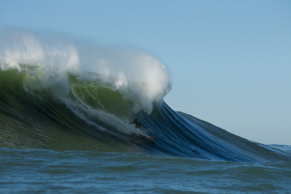 glasert_201202mavs_healeyleft1