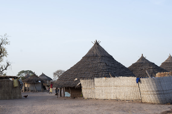 1-anambe-sng12-testemale-090321