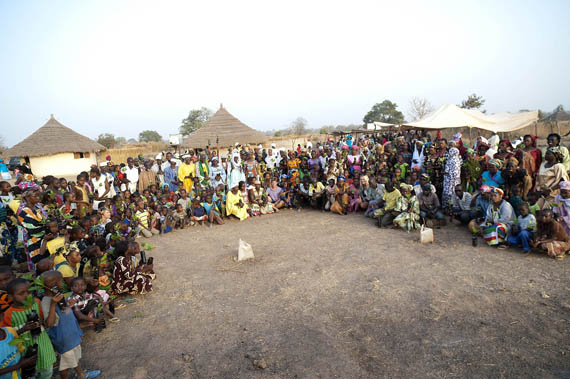 anambe-sng12-testemale-08274