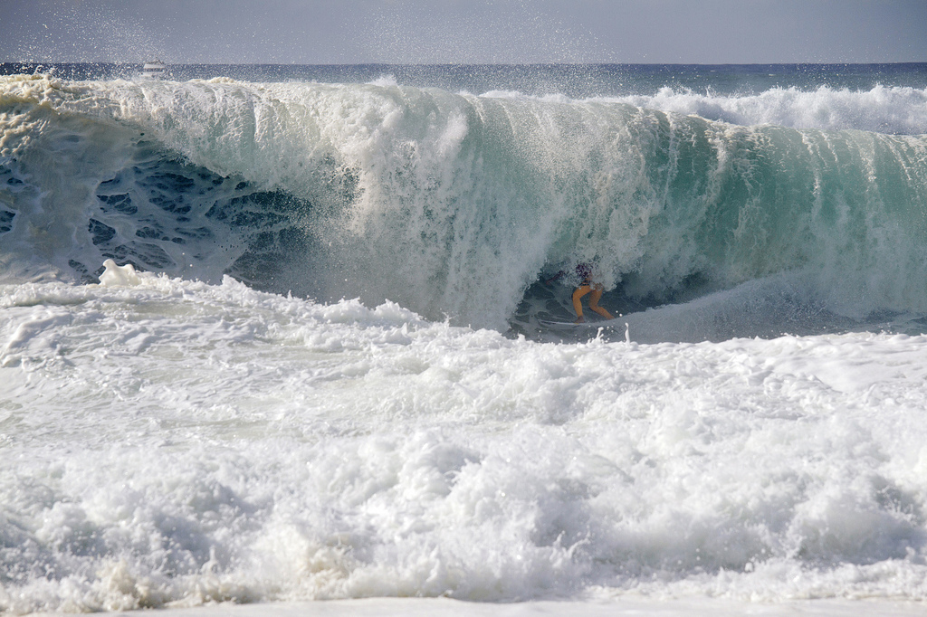 Julian Wilson