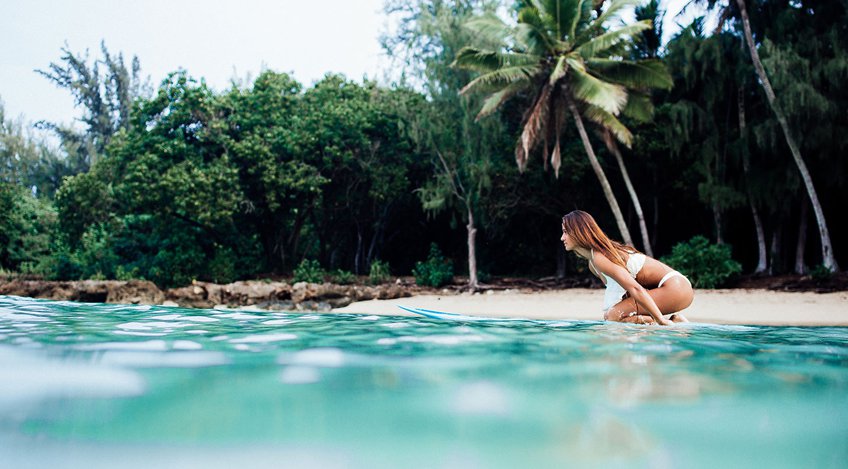 #WildAloha presented by Herewith Magazine