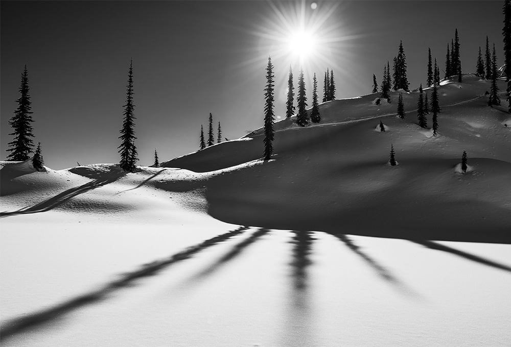 Sammy Carlson Over Time