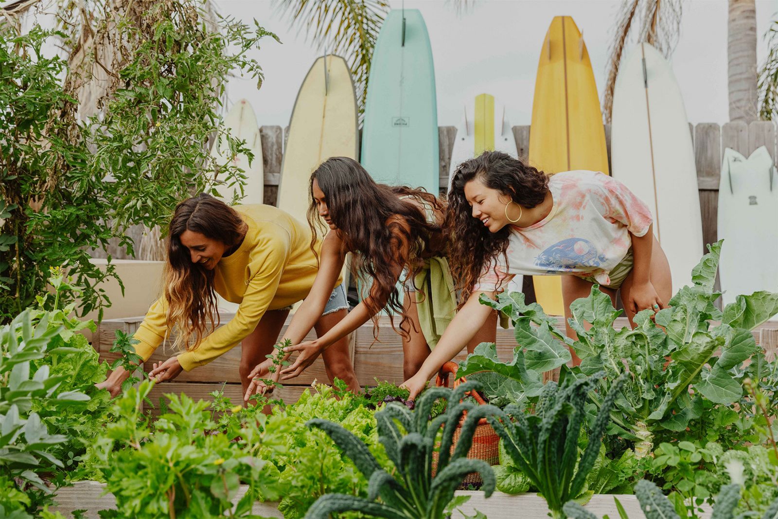 CAL AGRÍCOLA - EcoSea