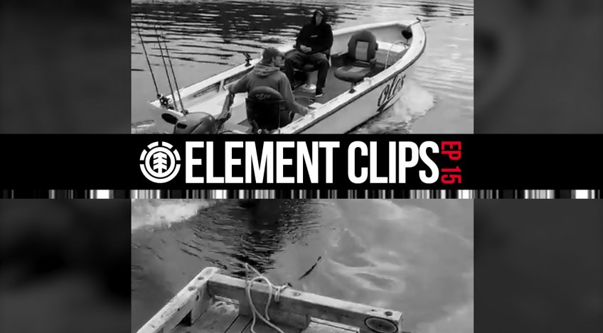 Element Clips #15